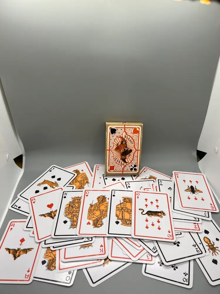 Wizard Playing-Cards .