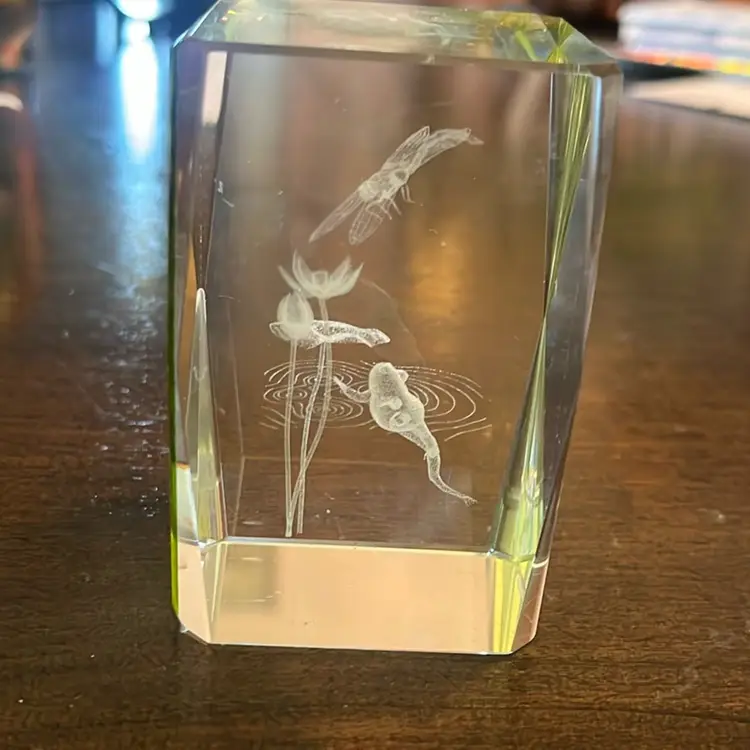Lucite Frog And Dragonfly Paperweight