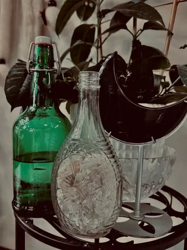 ☀️ Woo Woo Wednesday 🌕