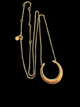 Double Horn STELLA & DOT Gold Tone Adjustable Necklace Pendant #of-c