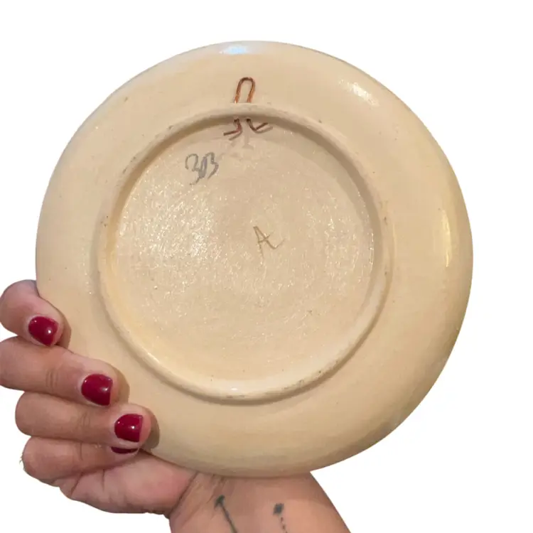 Handmade Uruguay Bird Pottery wall plate