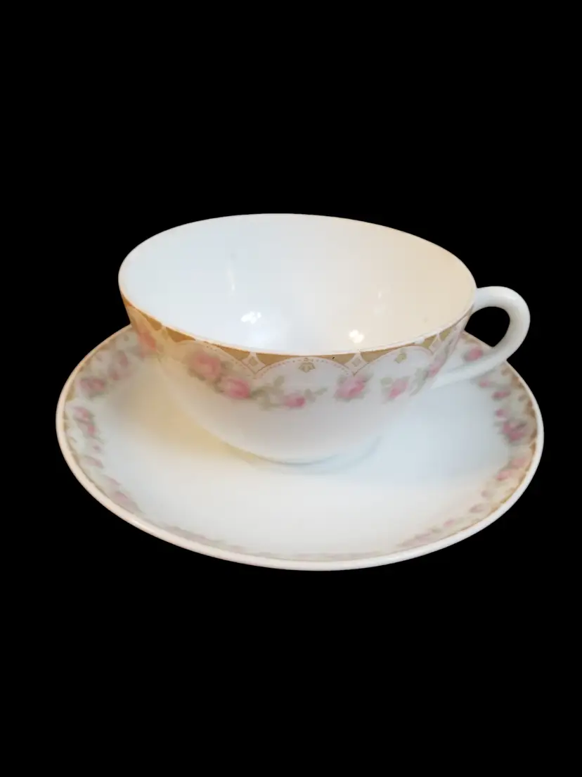 Antique C. T. Altwasser Silesia Cup & Saucer