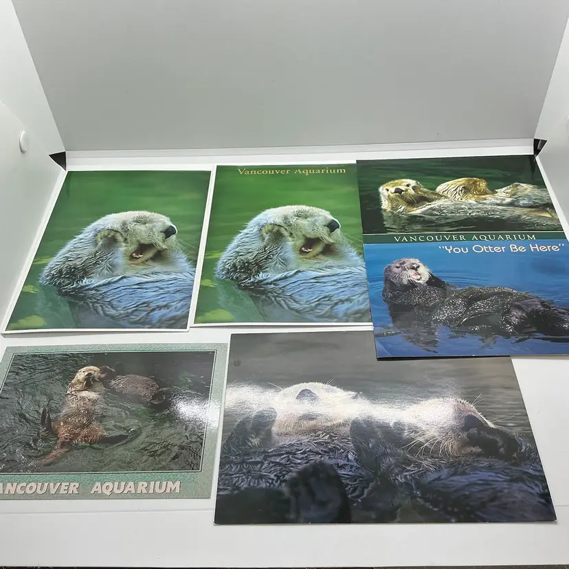 Lot Of 5 Otter Postcards Ephemera & 1 Card, Sea River