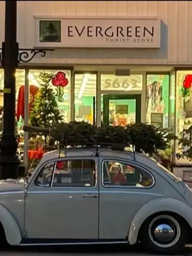 Evergreen Thrift Store Shopping with FRAGEELAY