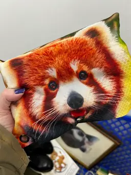 Red Panda Pencil Bag Crammed Full Of Pencils