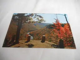 Vintage Postcard unposted Cedar Run Lookout Pennsylania Lake fall nature 1950s