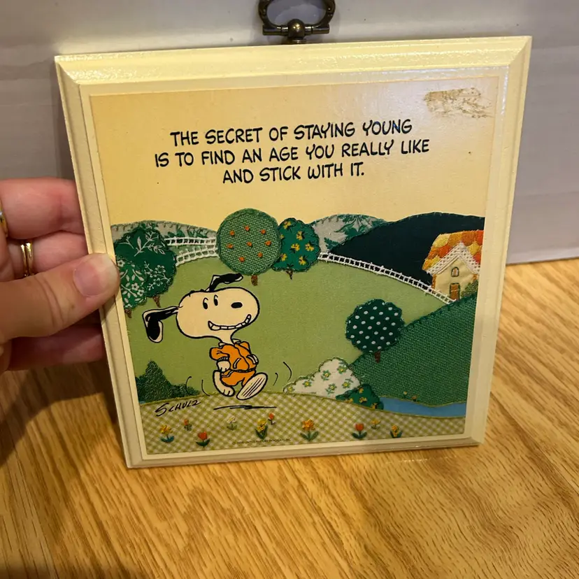 Snoppy Wall Art
