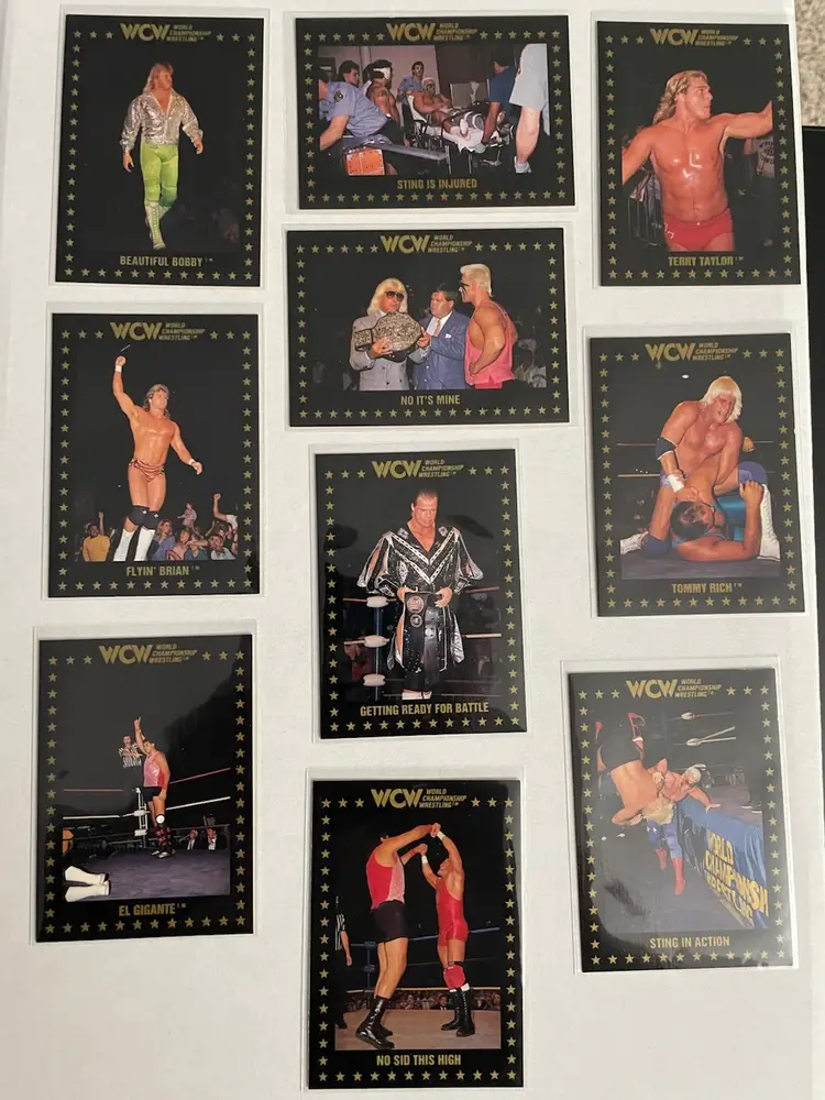 Lot Of 21 WCW 1991 Cards World Championship Wrestling