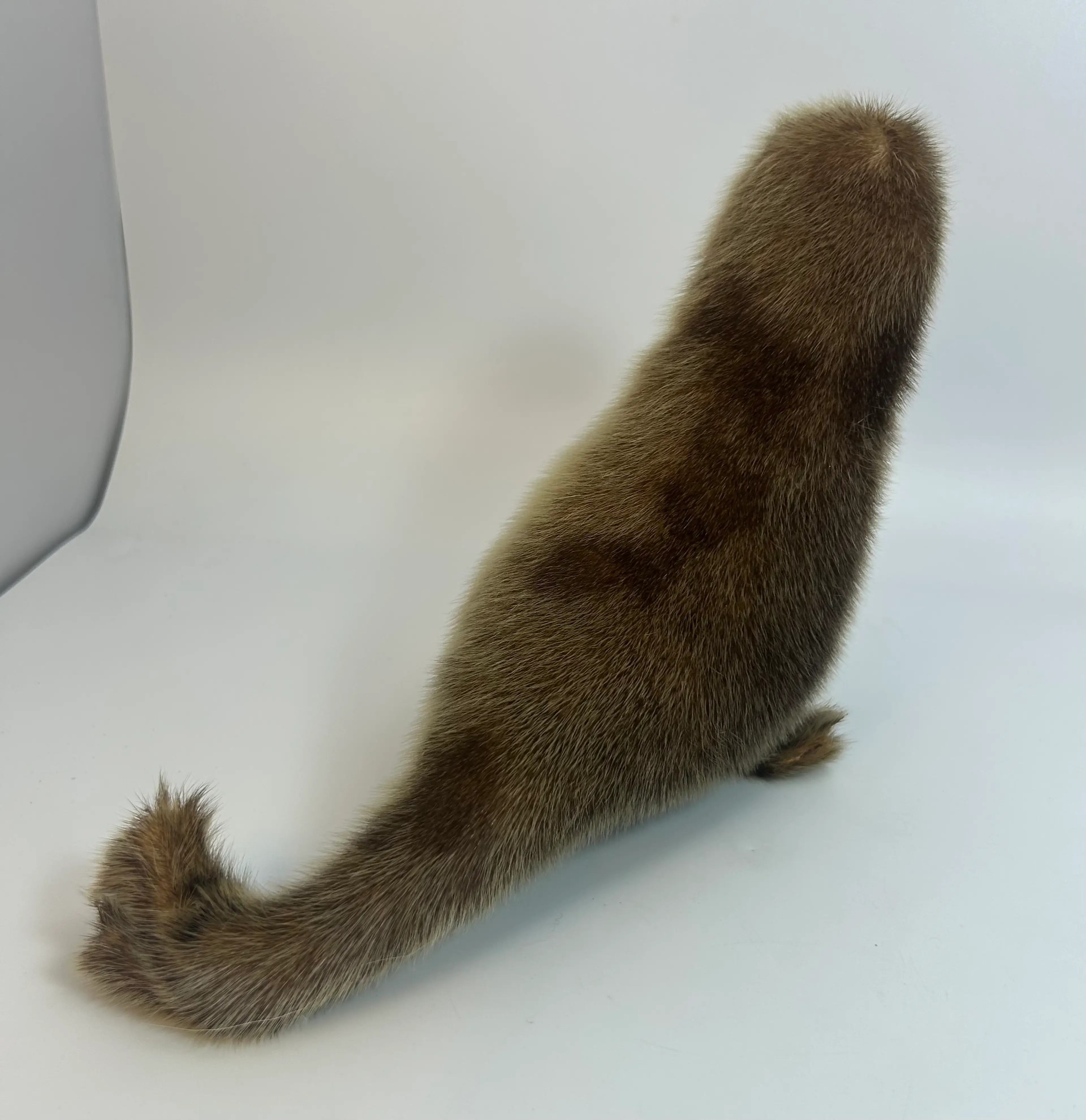 Image 3 of 10