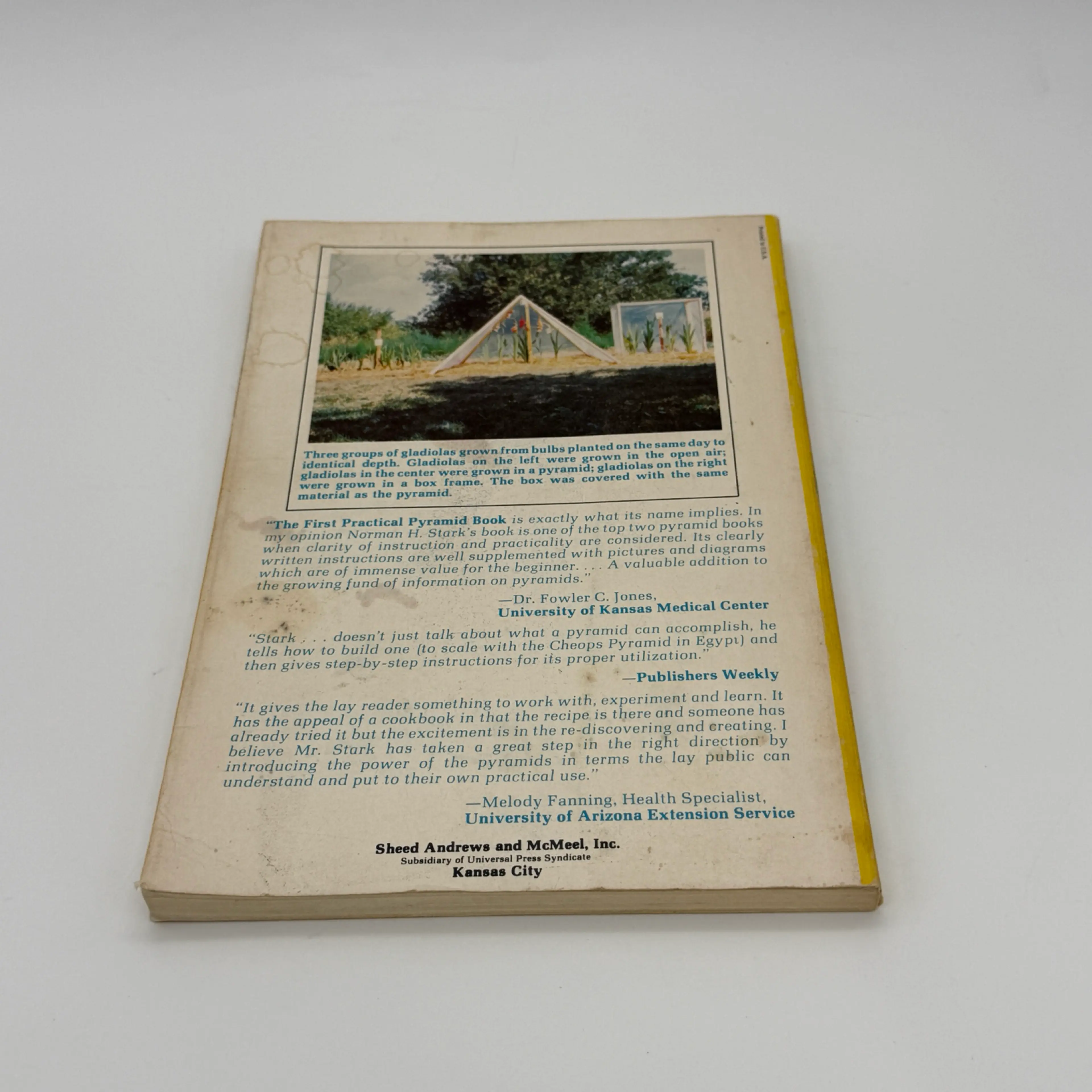 Image 3 of 14
