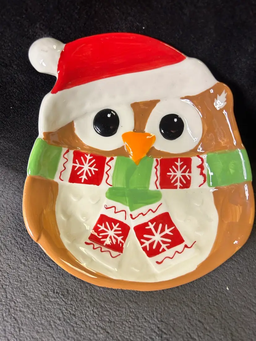 Adorable Owl Christmas Holiday Dish Decoration For All My Owl Lovers