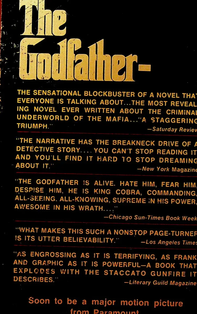 The Godfather by Mario Puzo Paperback