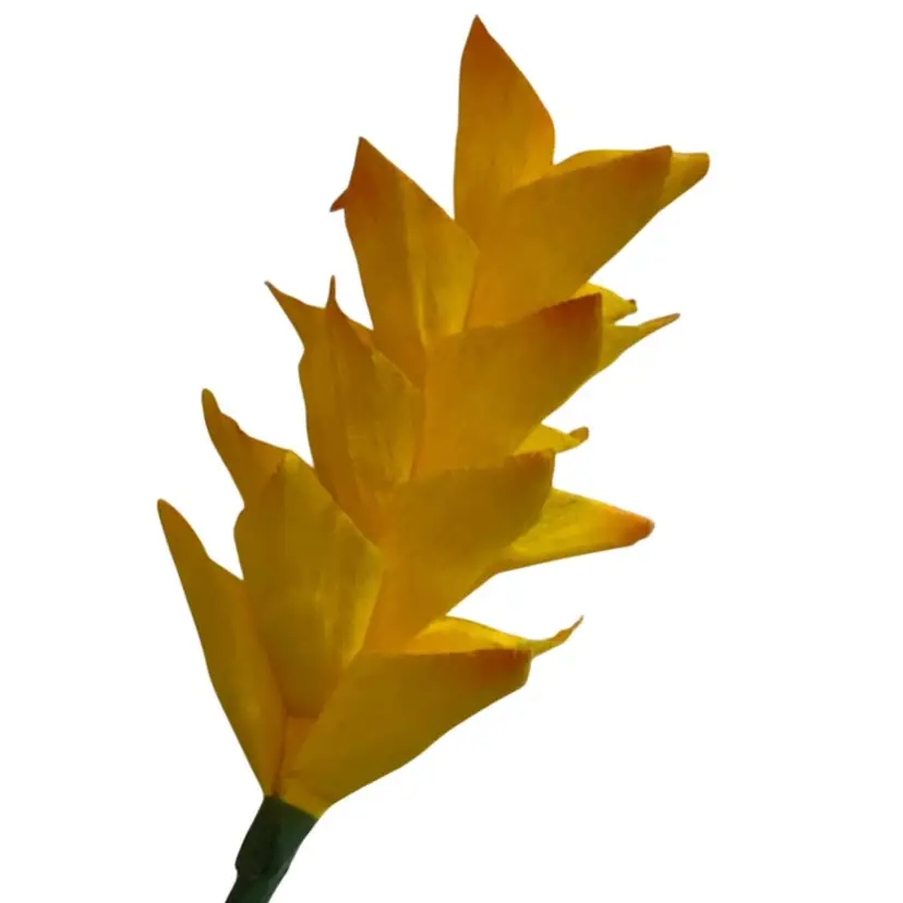 Handcrafted Yellow  Crepe Paper Flowers Super UV Reactive Made By Me Blossom Is 7” Long By 4” Diameter