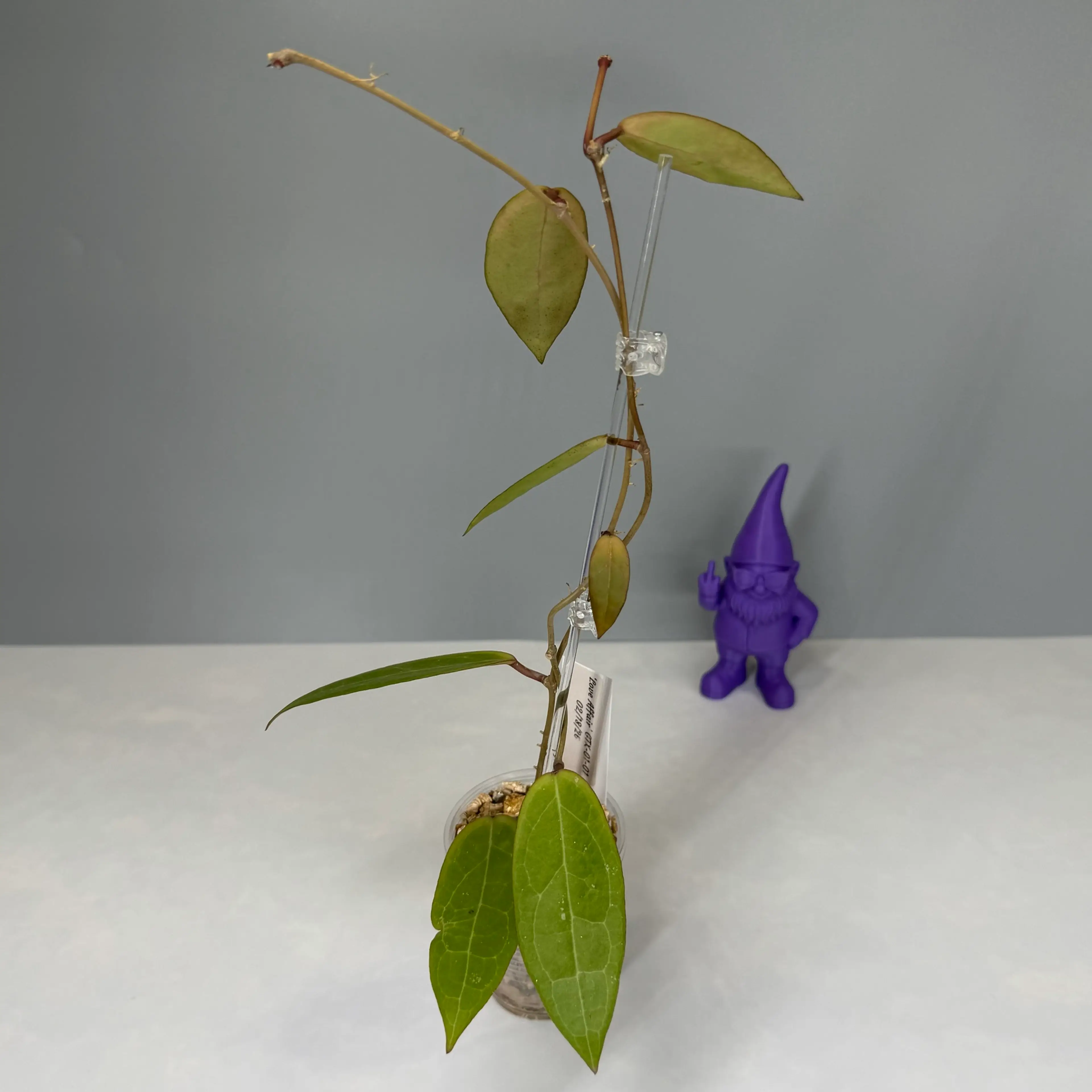 Image 3 of 3