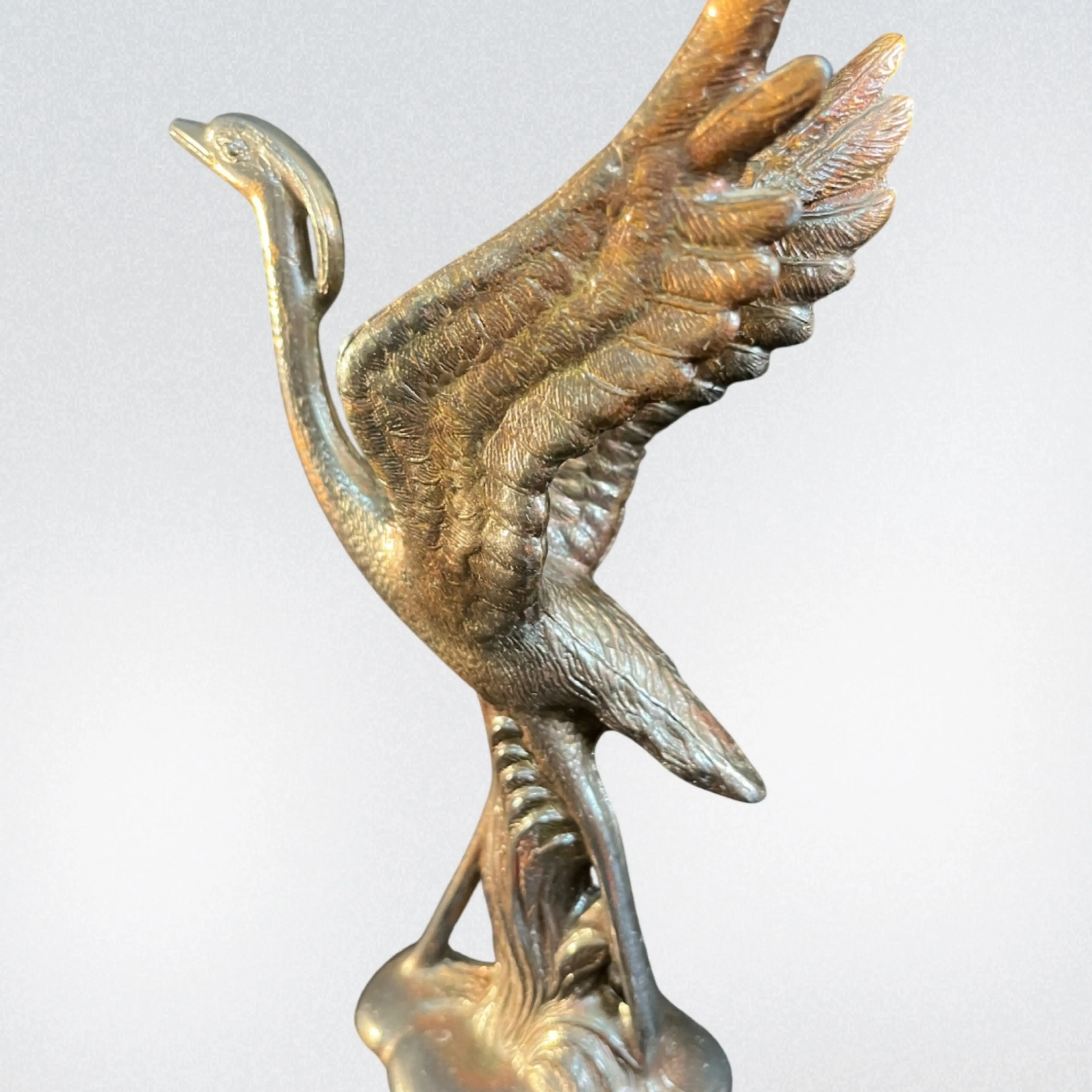 Image 3 of 6
