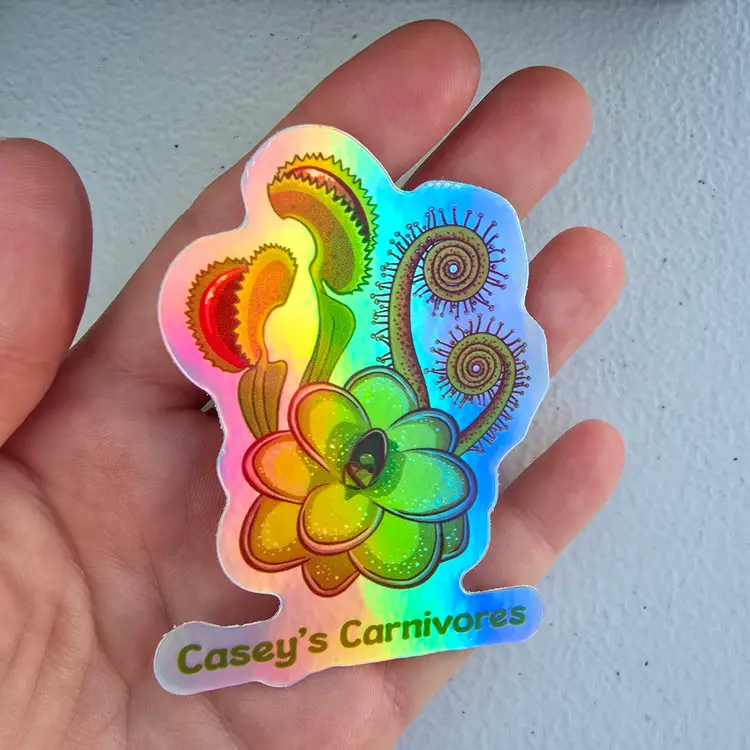 ADD-ON Casey's Carnivores Holographic 3 inch vinyl sticker