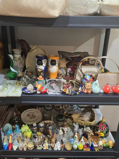 Shop the shelf variety show