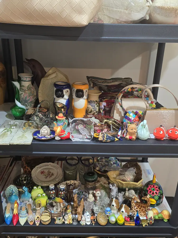 Shop the shelf variety show