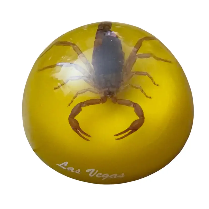 Vintage Scorpion Encased in Acrylic Paperweight Felt Bottom Las Vegas