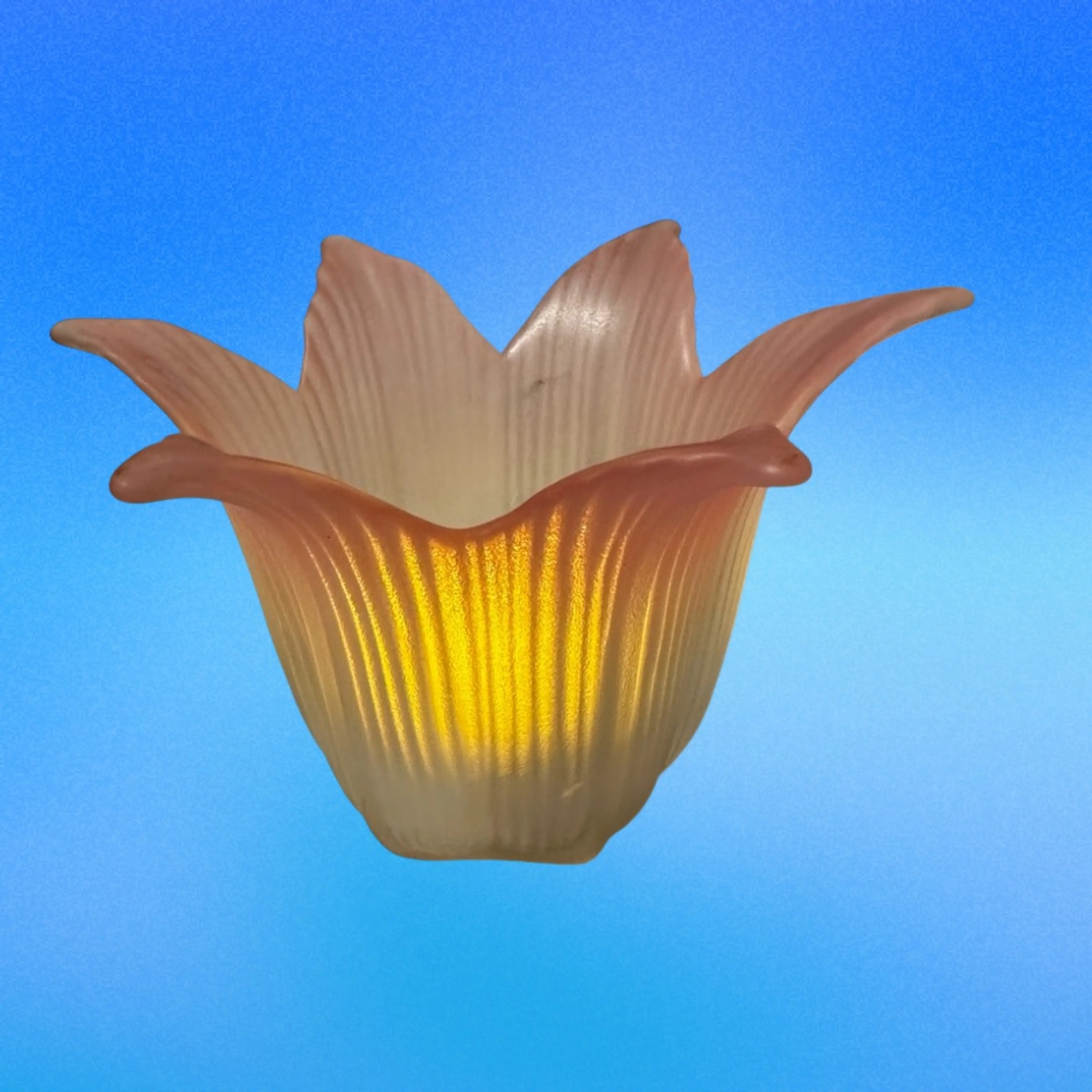 Image 2 of 4