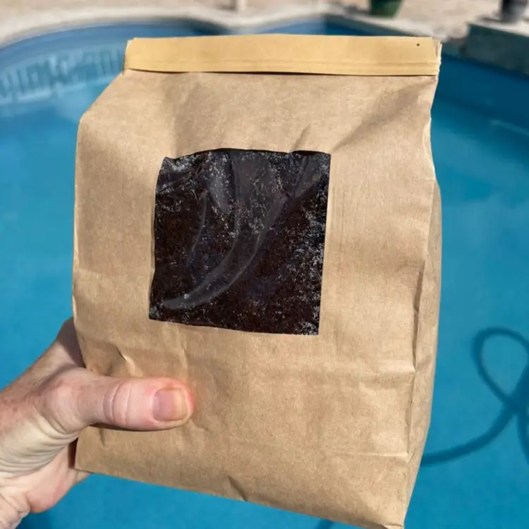 Tree Fern Fiber (1.5 lbs)