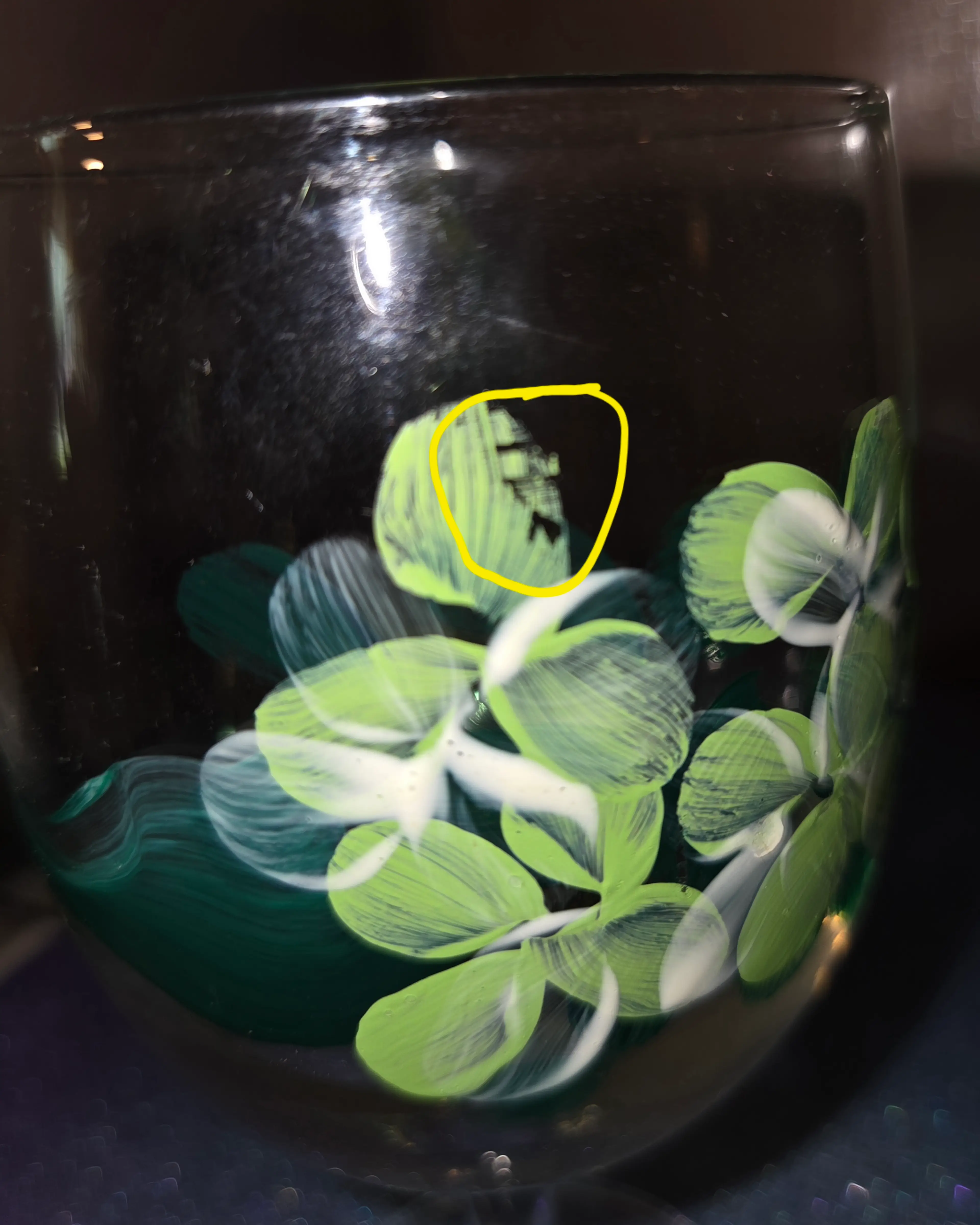 Image 5 of 5