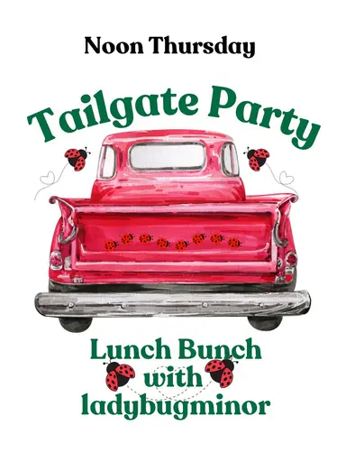 🐞Lunch Bunch with Ladybugminor🐞