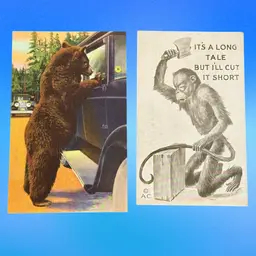 #14 Lot/2 Vintage Animal Postcards, Unused