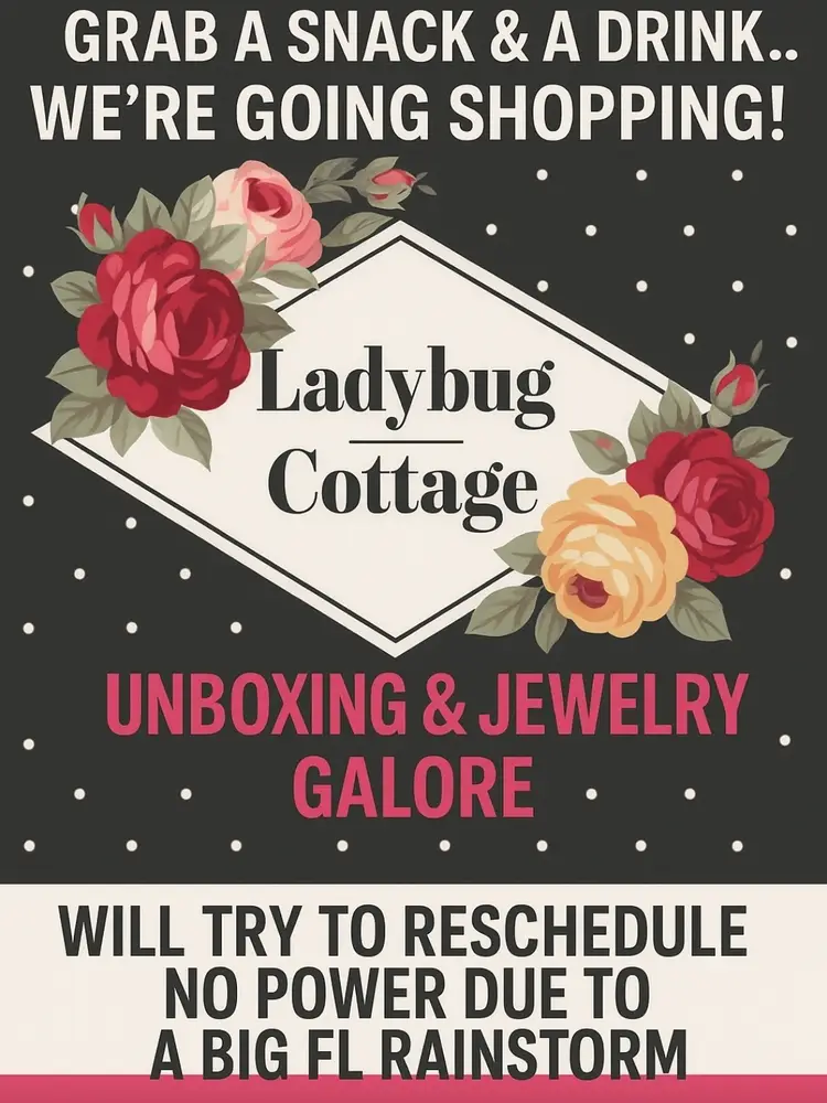 🐞 i will try to reschedule no power due to a bad florida rainstorm