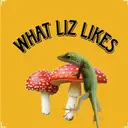 What Liz Likes