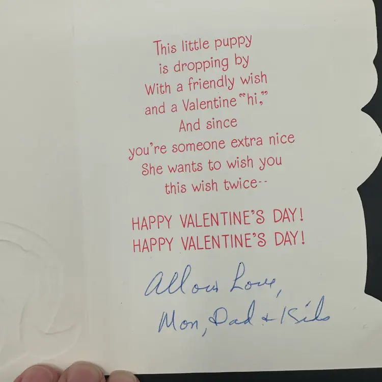 Vintage Puppy Valentine Greeting Card, Hallmark, Used