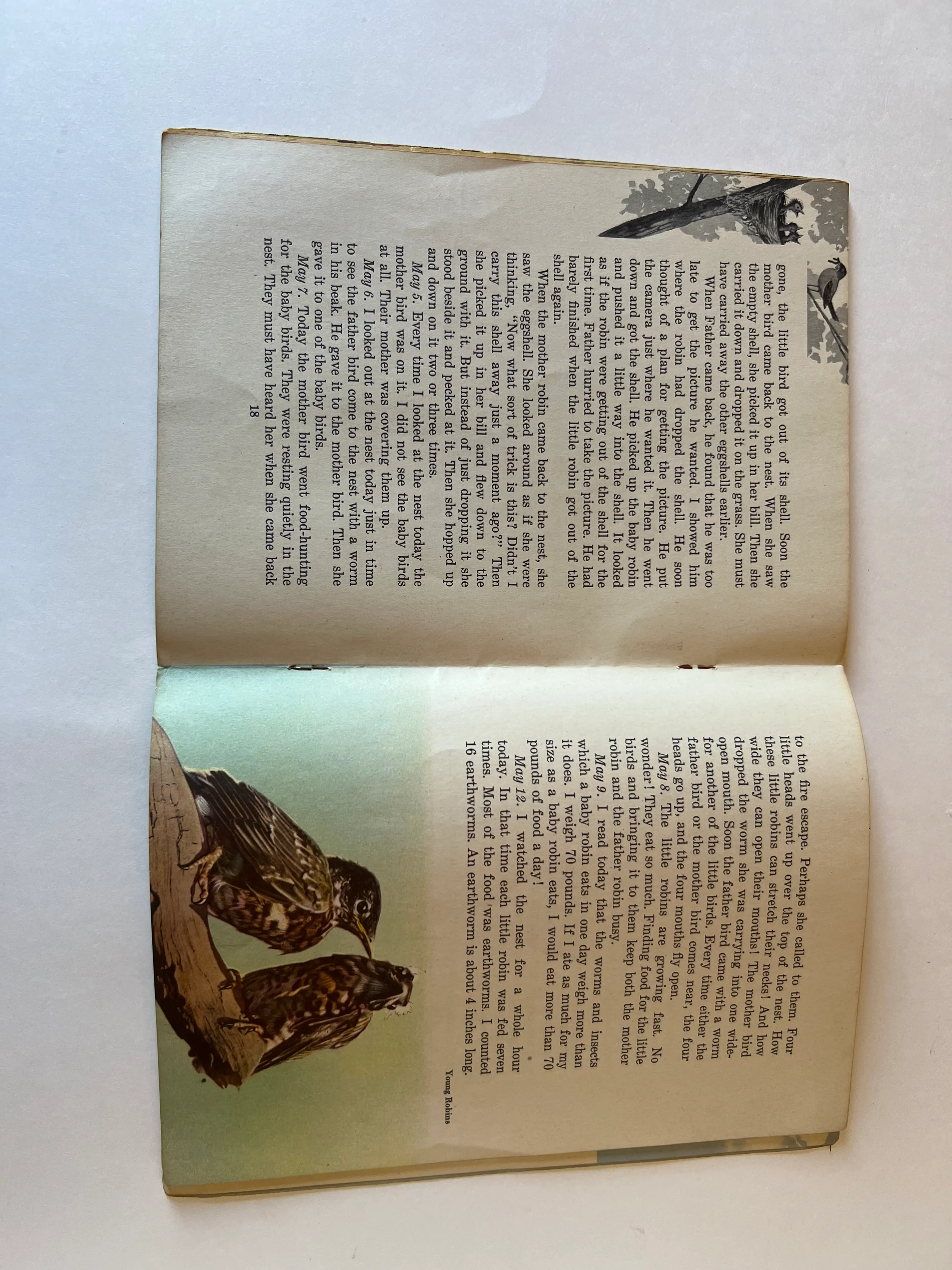Image 5 of 8