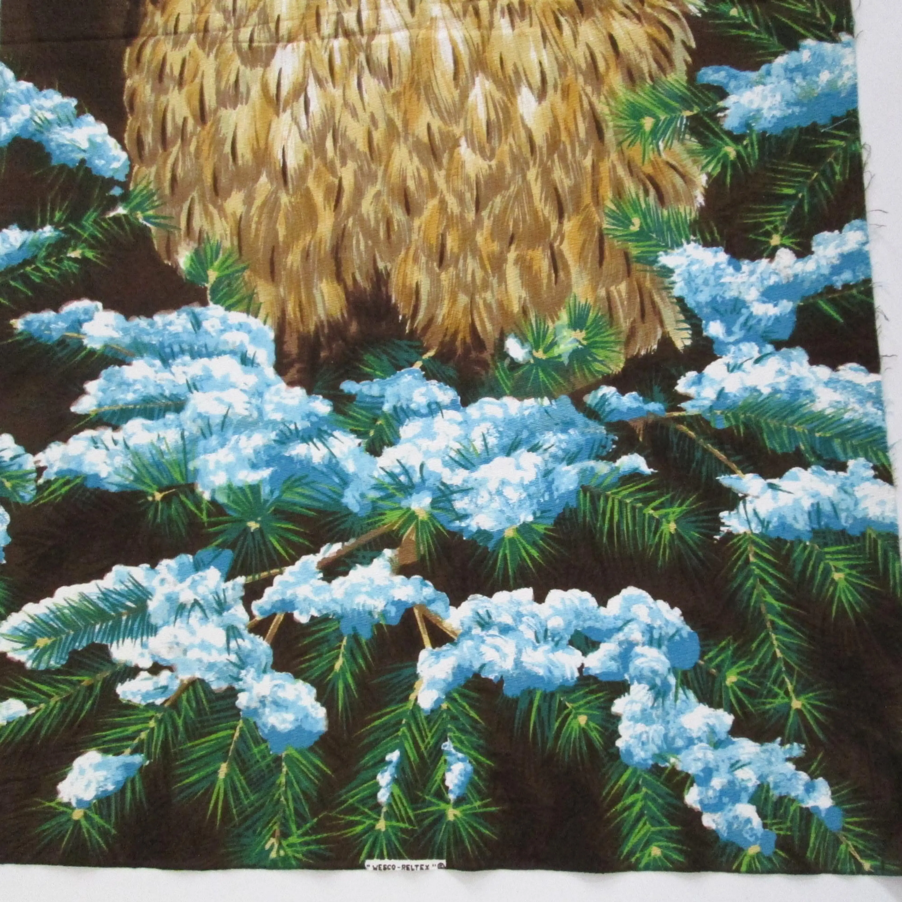 Image 4 of 7