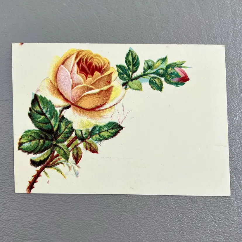 Victorian Trade Pink Rose Bud Illustration Blank 3x4" Botanical