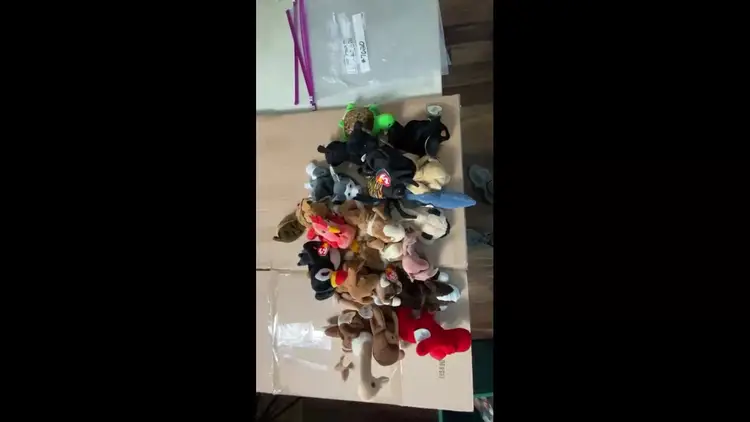 21 Beanie Babies Collectibles Lot - #7020