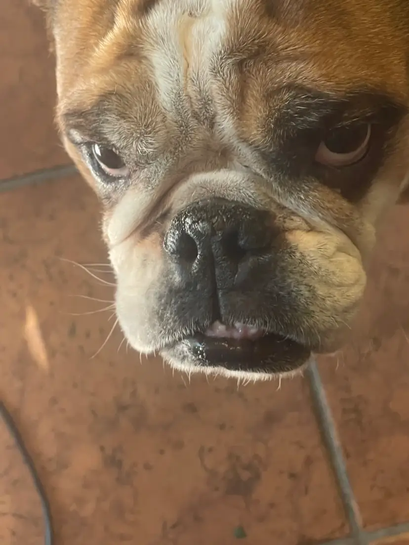 Livestream thumbnail