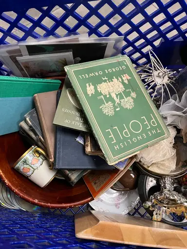 Goodwill Outlet Haul!!