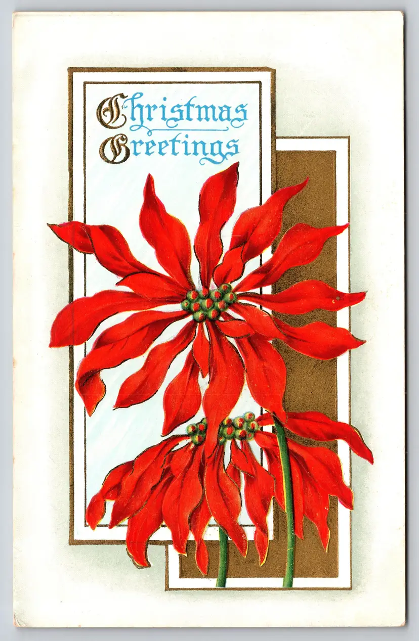 Postcard Embossed Christmas Greetings Poinsettia - 14646