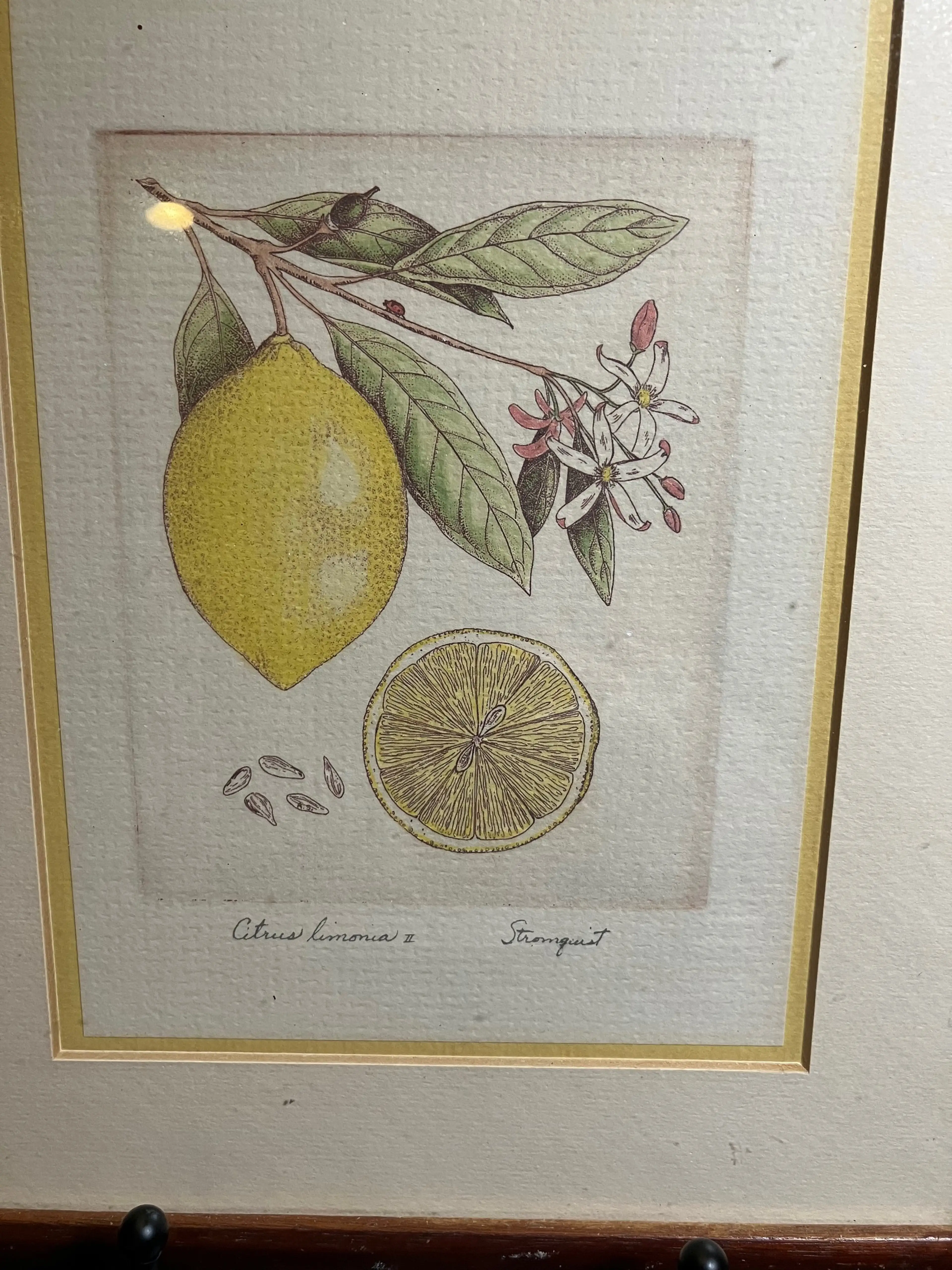 Image 2 of 4