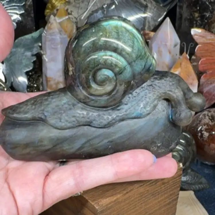 Labradorite Snail 125B
