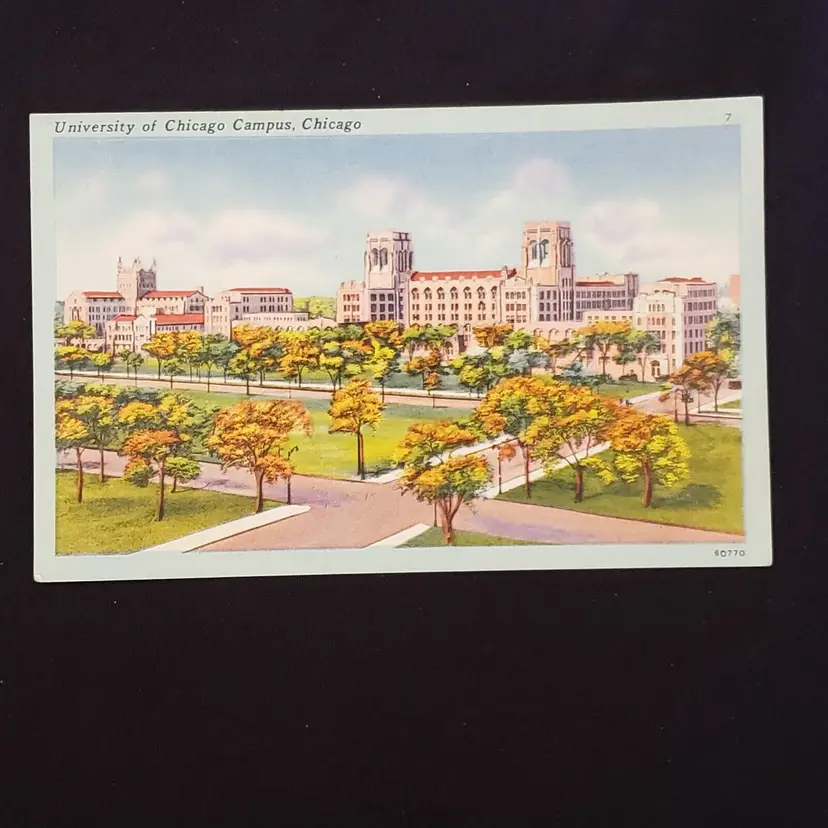 Postcard University of Chicago Campus Illinois unused Vintage
