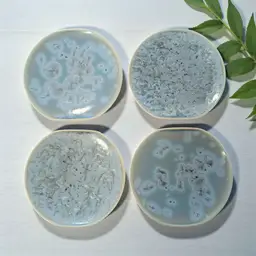 Set Of 4 Kotobuki Kyo Kiyomizu Yaki Ware Pottery Flower Crystal Plates Japan 5.5"