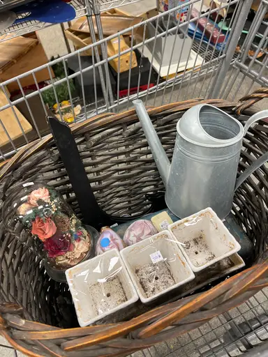 Thrift Haul!