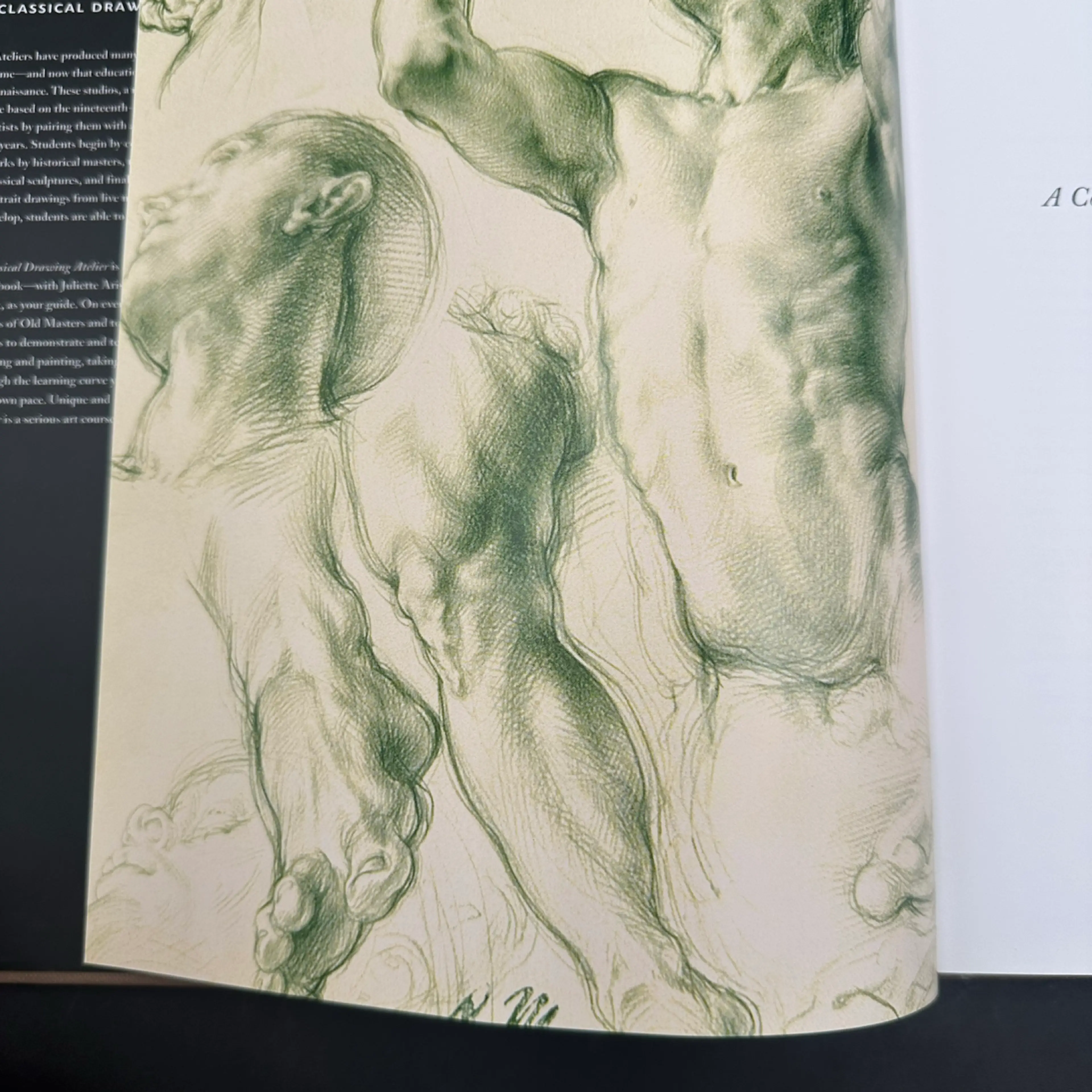 Image 4 of 9