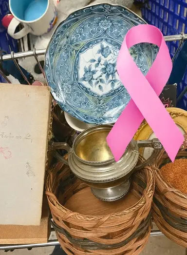 🎀Goodwill Bins Haul!🎀