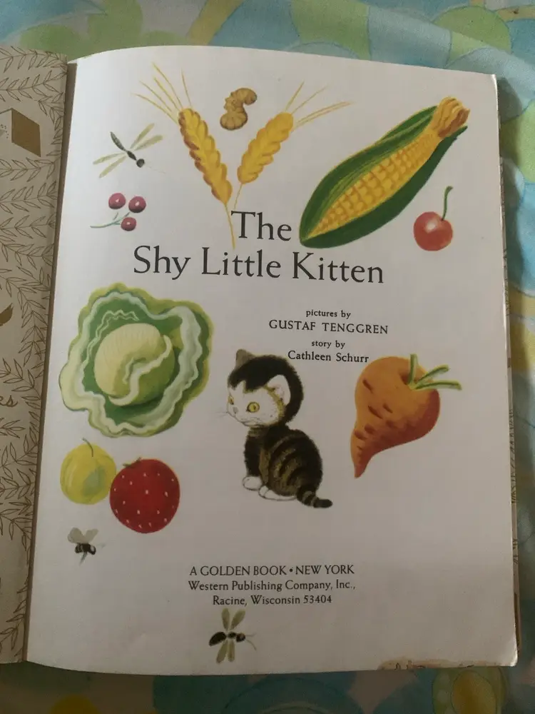 The Shy Little Kitten LGB 1992