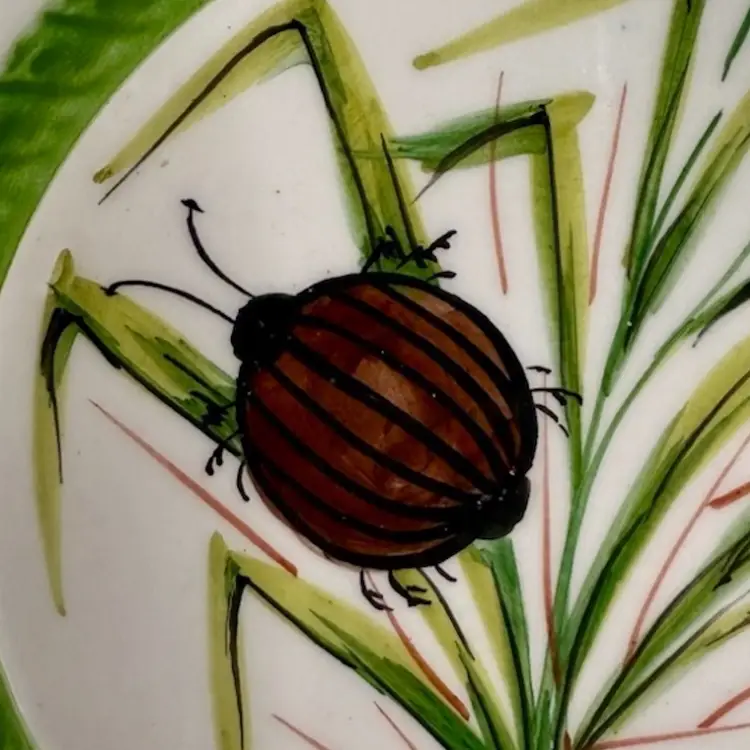 9” Insect Plate With Scalloped Edge Ivory•Green•Brown Luncheon Plate/Shelf Decor
Italy