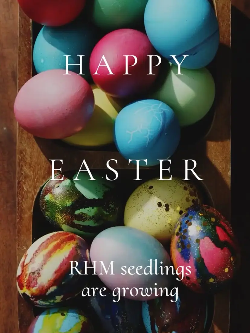 Livestream thumbnail