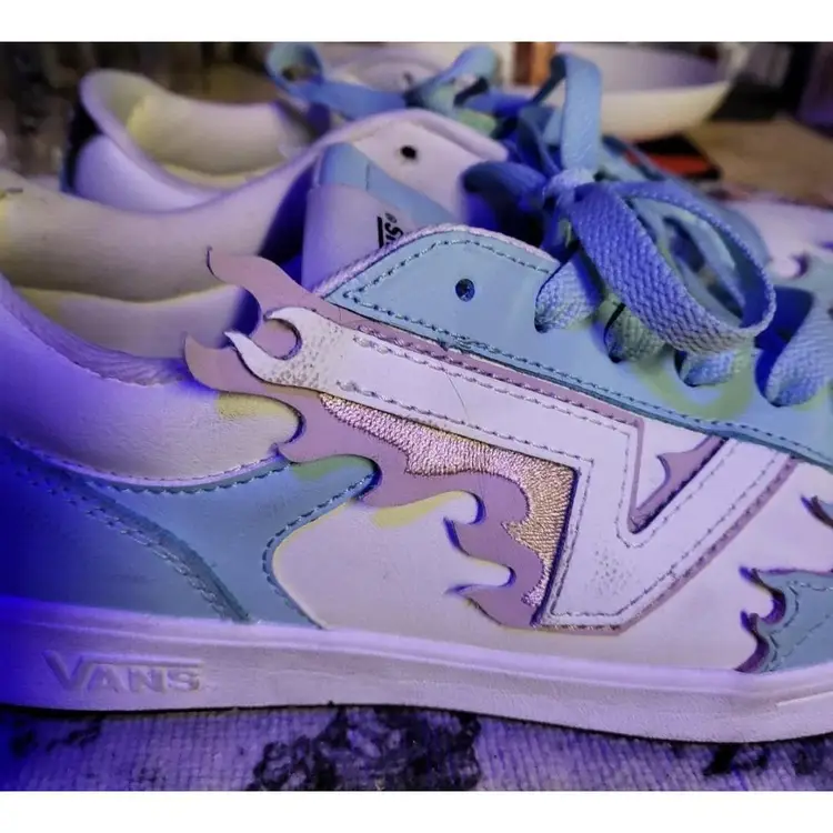 Vans Pink And Blue Flames Skate Sneakers