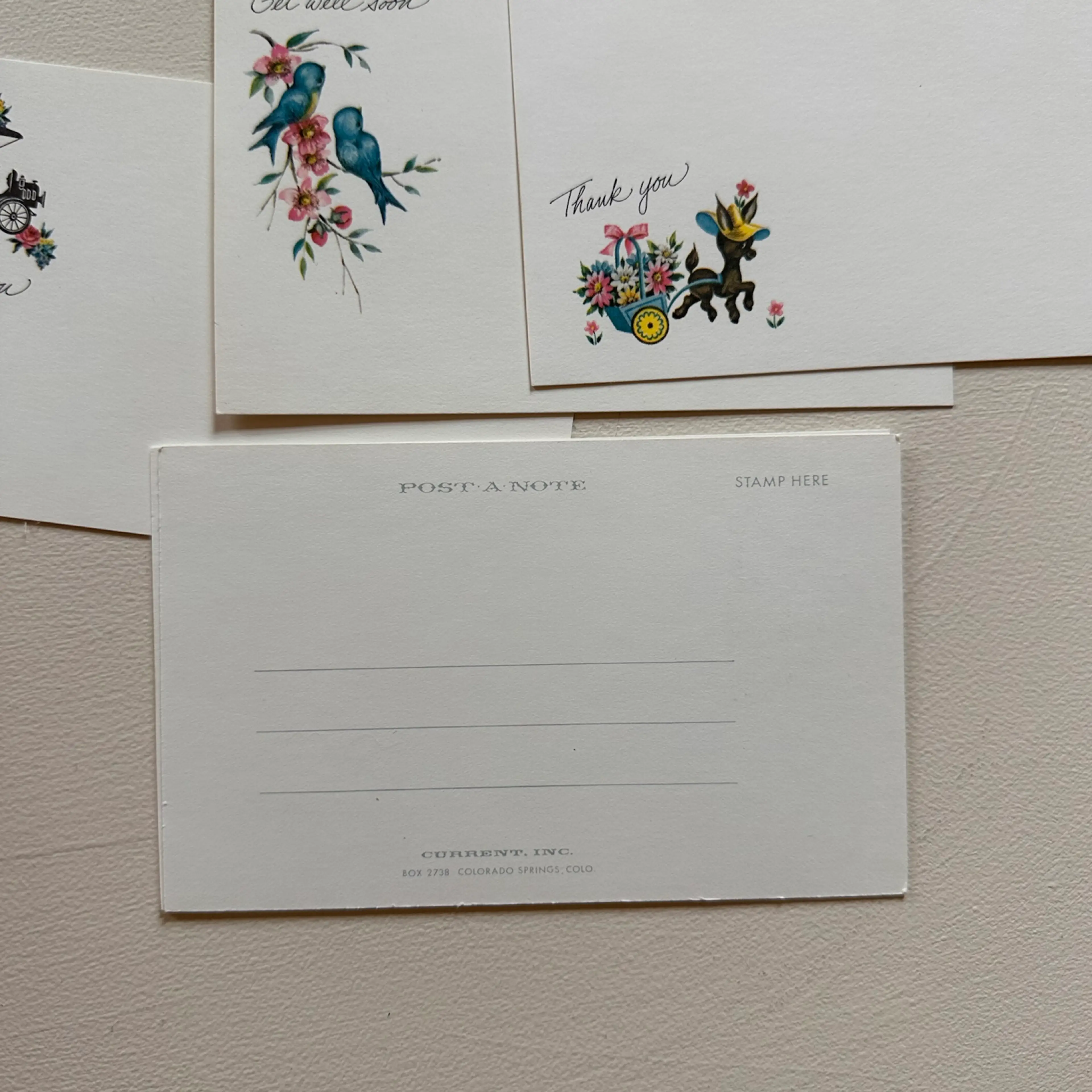 Image 4 of 12